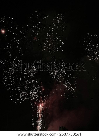 This vibrant, high-resolution image captures the breathtaking beauty of fireworks lighting up the night sky in vivid bursts. Perfect for celebrations, holidays, and festivals.
