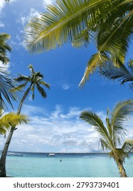 This vibrant, vertically oriented photograph captures a pristine tropical beach scene viewed from beneath a canopy of coconut palm trees. The composition utilizes a low angle looking upward and outward, framed naturally by large, sunlit green and yellow palm fronds hanging from the top and sides. On the left, a tall, slender palm tree tilts gracefully into the frame, guiding the eye toward a brilliant, deep blue sky filled with wispy white clouds that cluster near the horizon.
​The lower third of the image opens up to a tranquil, multi-toned ocean that transitions beautifully from a shallow, crystal-clear turquoise near the shore to a deeper blue further out. In the mid-distance, a traditional motorized outrigger boat floats calmly on the water, accompanied by a smaller green kayak closer to the center and a thin line of white safety buoys stretching across the shallows. A flat, dark green strip of a distant island rests along the horizon, completing a picture-perfect, serene tropical paradise.