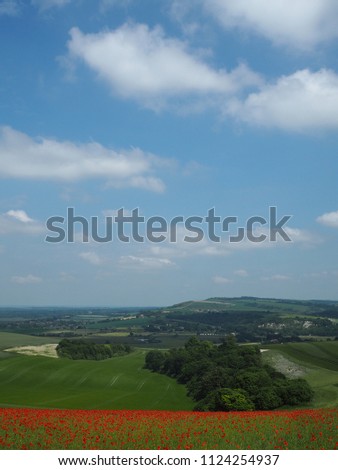 This view is from Bury Hill near Arundel in West Sussex.  Poppies are in bloom on Bury Hill and the view stretches across the Arun Valley towards the village of Amberley,  Kithurst Hill and the Downs. Stock photo © 