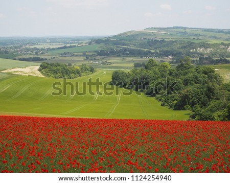 This view is from Bury Hill near Arundel in West Sussex.  Poppies are in bloom on Bury Hill and the view stretches across the Arun Valley towards the village of Amberley,  Kithurst Hill and the Downs. Stock photo © 