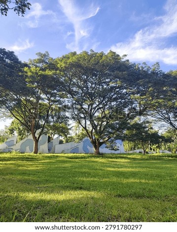 This is a view of one corner of the mass grave of victims of the Aceh tsunami on December 26, 2004. Approximately 46,718 victims of the Aceh earthquake and tsunami are buried here.