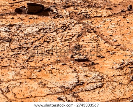 This view shows the patch of veined, flat-lying rock selected as the first drilling site for NASA's Mars rover Curiosity. - Space exploration photo.