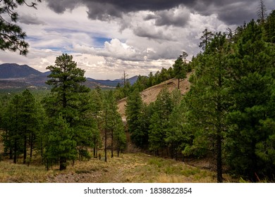 This is a view taken from the remote road to the Lockett Meadow area of the San Francisco Peaks near Flagstaff, AZ., a stormy sky with distant mountains, a steep hillside, and a pine studded forest.