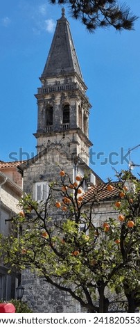 This vivid photograph captures the striking beauty of a Mediterranean steeple, piercing the clear blue sky, framed by the lush greenery and vibrant oranges of a citrus tree in the foreground. 