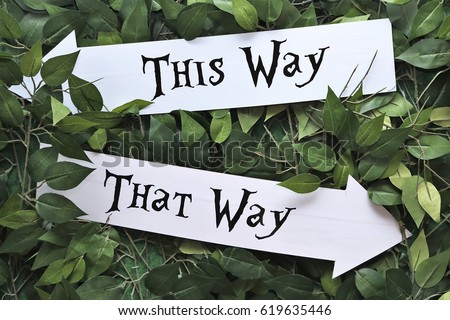 This Way and That Way signs