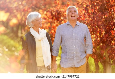 This is what happiness looks like. Cropped shot of a senior couple walking hand-in-hand through a vineyard. - Powered by Shutterstock