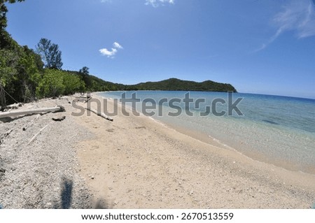 This wide-angle shot captures a pristine tropical beach with golden sand, clear turquoise water, and a lush green treeline.