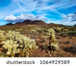 This is the wilderness area surrounding Vulture Peak in the background, located in Wickenburg, Arizona.