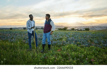 This will help our crops grow bigger and healthier. Shot of two farmers standing on a farm during sunset.