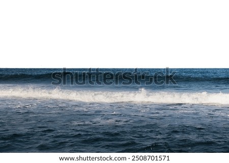 Similar – surfer Surfer Surfing