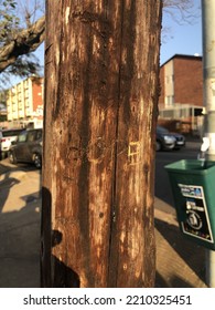 This Word Hope Was Carved On A Light Pole While People In Durban Were Waiting In A Line To Get Food And Other Essentials During The Riots In 2021