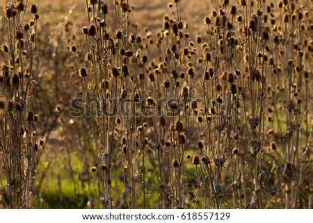 Similar – Foto Bild Camourflage Bodenbelag