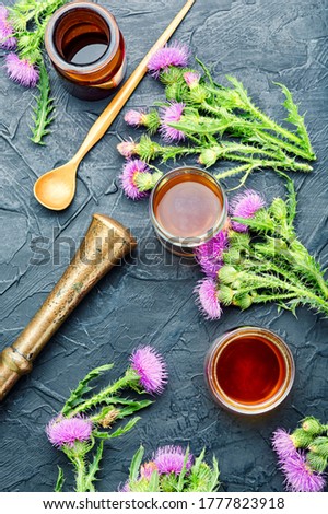 Similar – Image, Stock Photo prickly Thorny Thistle