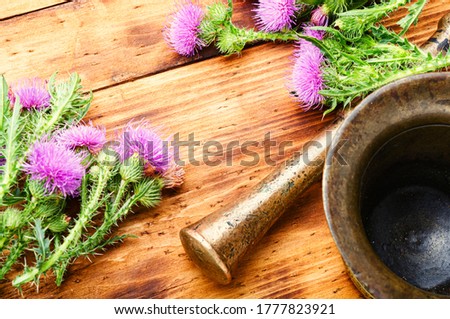 Similar – Image, Stock Photo prickly Thorny Thistle