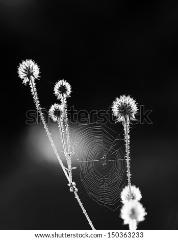 Similar – bottrop Nature Landscape