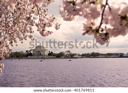 Thomas Jefferson Memorial. Cherry Blossom Festival. Washington, DC. Beautiful spring time  image 