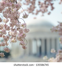 Thomas Jefferson Memorial during cherry blossom festival in Washington DC United States