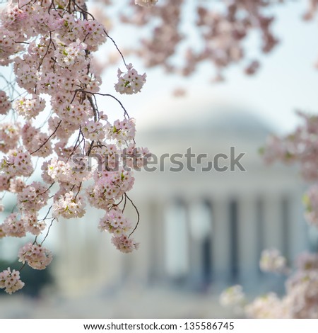 Thomas Jefferson Memorial during cherry blossom festival in Washington DC United States
