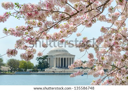 Thomas Jefferson Memorial during cherry blossom festival in Washington DC United States