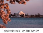 Thomas Jefferson Memorial at sunset with cherry blossoms