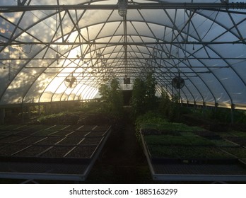 Thomas Keller Greenhouse Yountville Napa Valley