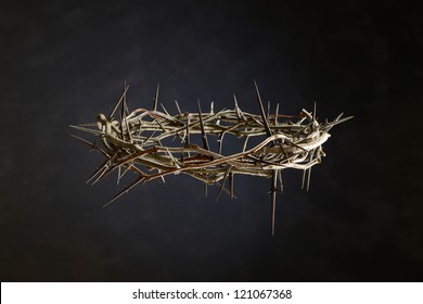 Thorn Crown isolated on a neutral background