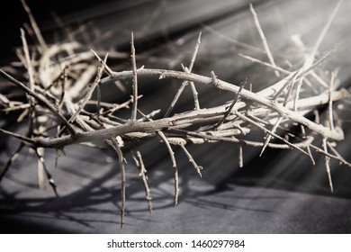 Thorn Wreath Symbol Death Resurrection Jesus Stock Photo 1460297984 ...