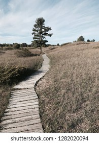 Thought provoking path
