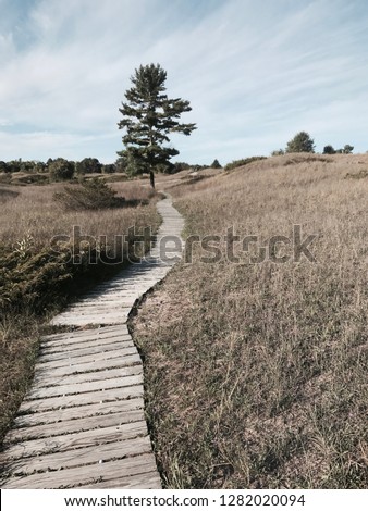 Thought provoking path