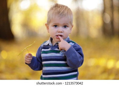 Thoughtful little boy with maple leaf outdoors. 