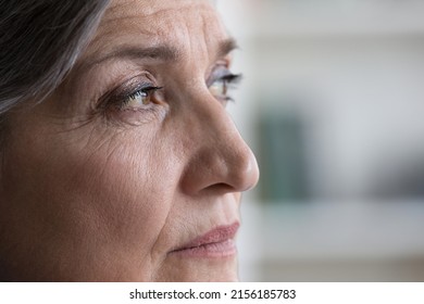 Thoughtful Senior Grey Haired Lady Face With Wrinkles And Make Up Close Up With Copy Space. Serious Elder Woman, Retiree, Pensioner Looking Away, Thinking Over Memories. Cropped Shot With Copy Space