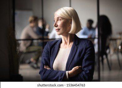 Thoughtful successful middle aged old businesswoman executive ceo standing looking through window thinking of leadership opportunities, business vision success, dreaming planning future concept - Powered by Shutterstock