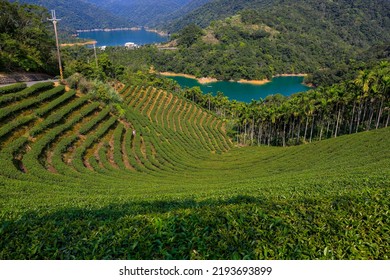 Thousand Island Lake In Taiwan