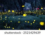 Thousands of fireflies in the deep forest They come out to breed during the rainy season of Thailand.  Fireflies are bright creatures in the forest. Like an fairy in the forest