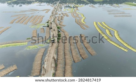Thousands of jute stalks float across the waters of Bortir Bil, North 24 Parganas, West Bengal, India, during traditional retting. Fresh green jute is soaked for 20–25 days, allowing fibers to separate naturally as the stalks change color. This eco-friendly process produces sustainable fiber for the textile industry, reducing reliance on plastic.