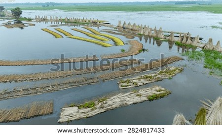 Thousands of jute stalks float across the waters of Bortir Bil, North 24 Parganas, West Bengal, India, during traditional retting. Fresh green jute is soaked for 20–25 days, allowing fibers to separate naturally as the stalks change color. This eco-friendly process produces sustainable fiber for the textile industry, reducing reliance on plastic.
