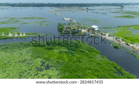 Thousands of jute stalks float across the waters of Bortir Bil, North 24 Parganas, West Bengal, India, during traditional retting. Fresh green jute is soaked for 20–25 days, allowing fibers to separate naturally as the stalks change color. This eco-friendly process produces sustainable fiber for the textile industry, reducing reliance on plastic.