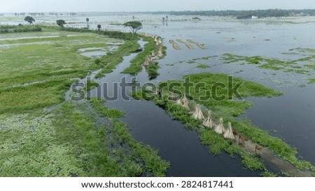 Thousands of jute stalks float across the waters of Bortir Bil, North 24 Parganas, West Bengal, India, during traditional retting. Fresh green jute is soaked for 20–25 days, allowing fibers to separate naturally as the stalks change color. This eco-friendly process produces sustainable fiber for the textile industry, reducing reliance on plastic.