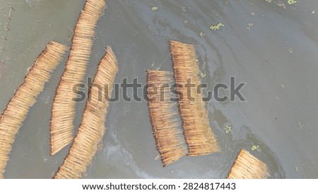 Thousands of jute stalks float across the waters of Bortir Bil, North 24 Parganas, West Bengal, India, during traditional retting. Fresh green jute is soaked for 20–25 days, allowing fibers to separate naturally as the stalks change color. This eco-friendly process produces sustainable fiber for the textile industry, reducing reliance on plastic.