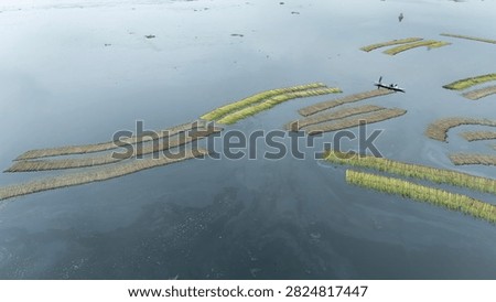 Thousands of jute stalks float across the waters of Bortir Bil, North 24 Parganas, West Bengal, India, during traditional retting. Fresh green jute is soaked for 20–25 days, allowing fibers to separate naturally as the stalks change color. This eco-friendly process produces sustainable fiber for the textile industry, reducing reliance on plastic.