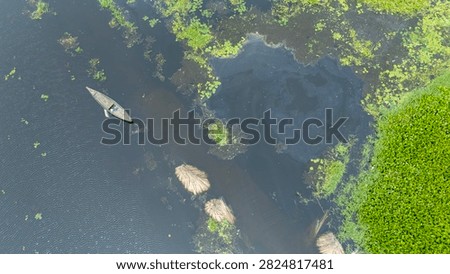 Thousands of jute stalks float across the waters of Bortir Bil, North 24 Parganas, West Bengal, India, during traditional retting. Fresh green jute is soaked for 20–25 days, allowing fibers to separate naturally as the stalks change color. This eco-friendly process produces sustainable fiber for the textile industry, reducing reliance on plastic.