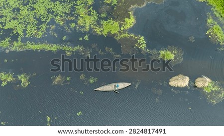 Thousands of jute stalks float across the waters of Bortir Bil, North 24 Parganas, West Bengal, India, during traditional retting. Fresh green jute is soaked for 20–25 days, allowing fibers to separate naturally as the stalks change color. This eco-friendly process produces sustainable fiber for the textile industry, reducing reliance on plastic.