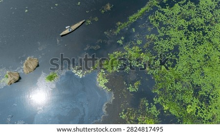 Thousands of jute stalks float across the waters of Bortir Bil, North 24 Parganas, West Bengal, India, during traditional retting. Fresh green jute is soaked for 20–25 days, allowing fibers to separate naturally as the stalks change color. This eco-friendly process produces sustainable fiber for the textile industry, reducing reliance on plastic.