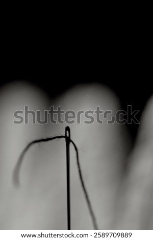 Thread Through the Needle’s Eye – Minimalist Macro Photography