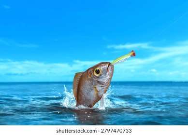 Threadfin bream fish caught on fishing hook underr blue sky