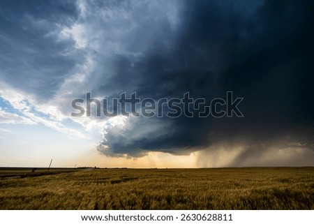 Threatening storm clouds swirl over a quiet forest, filling the sky with dark texture, shadow, and ominous motion, creating a dramatic, moody scene rich in atmosphere and nature’s power