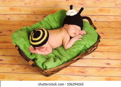 Three (3) Week Old Newborn Baby Girl Wearing A Crocheted Black And Yellow Bumblebee Costume. The Infant Is Sleeping On A Green Blanket Inside Of A Basket.