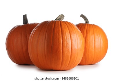 Three autumnal huge pumpkins isolated on white background