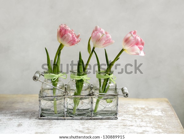 Three Beautiful Pastel Colored Pink Tulips Stock Photo Edit Now