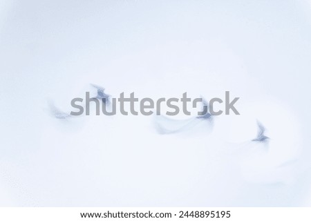 Three birds in motion blur impressionist effect.